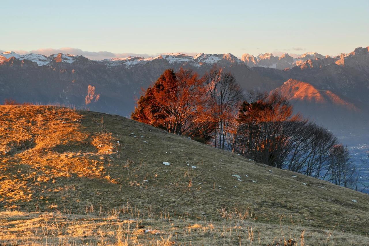 Agriturismo Riva Dei Coz Sequsino Экстерьер фото
